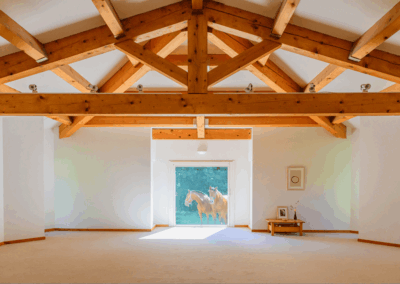 Chevaux dojo Centre Durckheim